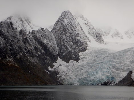 PLA16-18 Day 2 Raudfjord1-Oceanwide Expeditions.jpg