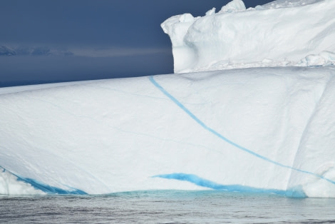 PLA16-18 Day 9 Day 9 bluelineberg_shelli-Oceanwide Expeditions.JPG