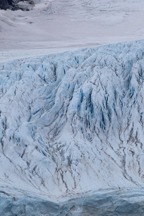 PLA15-18 Day 2 Day 2 glacier_shelli-Oceanwide Expeditions.JPG