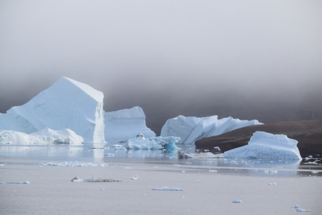 PLA16-18 Day 10 Day 10 RodeØ_shelli-Oceanwide Expeditions.JPG