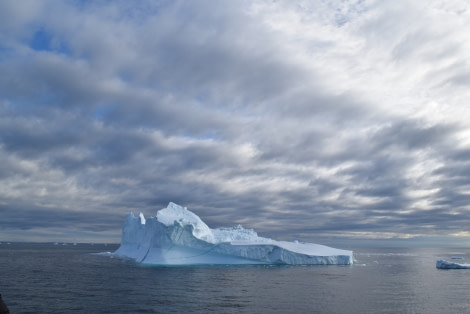 PLA16-18 Day 9 Day 9 ICE_shelli-Oceanwide Expeditions.JPG