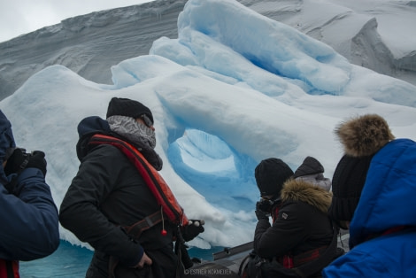 OTL22-18 - 20181110 - Zodiac Cruize - Esther Kokmeijer-40 - Oceanwide Expeditions.jpg