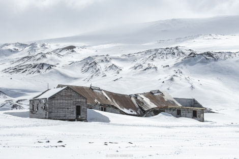 OTL22-18 - 20181115 - Whalers Bay - Esther Kokmeijer-36 - Oceanwide Expeditions.jpg