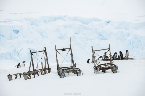 OTL22-18 - 20181114 - Port Lockroy - Esther Kokmeijer-6 - Oceanwide Expeditions.jpg