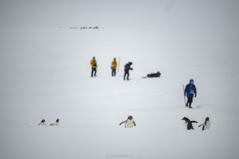 OTL22-18 - 20181114 - Dorian Bay - Esther Kokmeijer-4 - Oceanwide Expeditions.jpg