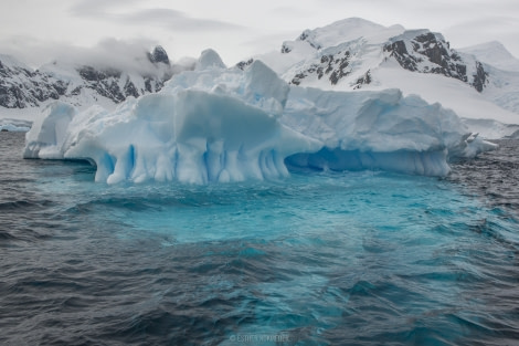 OTL22-18 - 20181110 - Zodiac Cruize - Esther Kokmeijer-35 - Oceanwide Expeditions.jpg