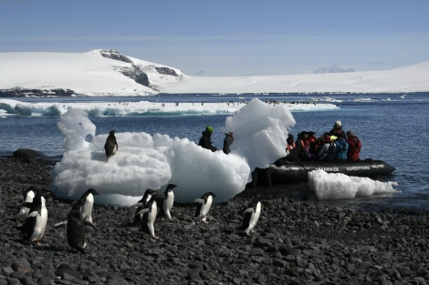 Paulet Island © Sonja Heinrich - Oceanwide Expeditions.jpg