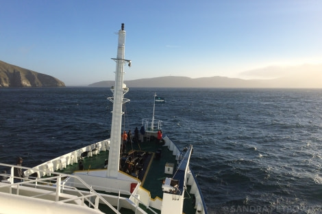 PLA25-18 FALKLANDS, 20190111_SandraPetrowitz_IMG_0697 -Oceanwide Expeditions.jpg