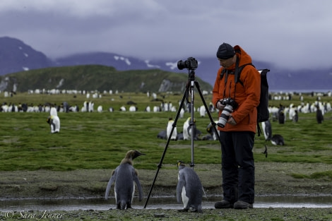 PLA24-18, 28th fur seal-2 -Oceanwide Expeditions.jpg