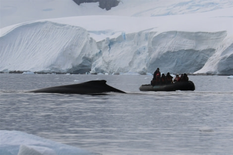 PLA25-18 ENTERPRISE & PORTAL, humpy_zodiac_pippa -Oceanwide Expeditions.jpg