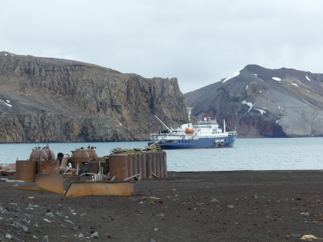 PLA23-18, 17 DEC, Plancius from Whalers' Bay -Oceanwide Expeditions.jpg