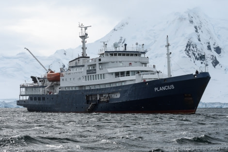 PLA25-18 NEKO & LOCKROY, 20190124_SandraPetrowitz__DSC1558 -Oceanwide Expeditions.jpg