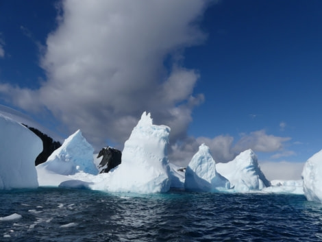 PLA23-18, 19 DEC, Melchior icebergs -Oceanwide Expeditions.jpg