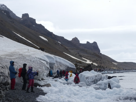 PLA23-18, 16 DEC, Brown Bluff glacier -Oceanwide Expeditions.jpg