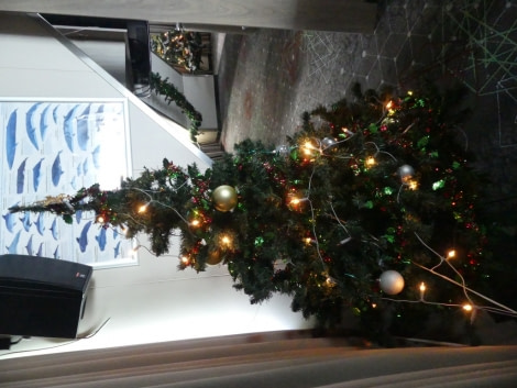 PLA23-18, 21 DEC, Christmas tree -Oceanwide Expeditions.jpg