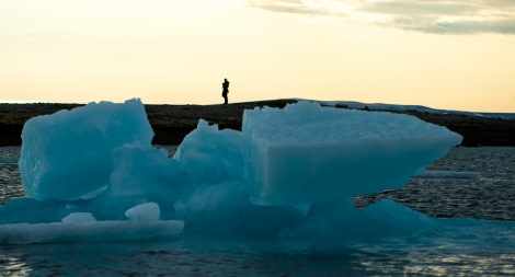 Around Spitsbergen, Kvitoya, August © Zoutfotografie-Oceanwide Expeditions (178) - kopie.JPG