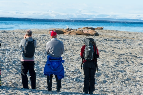 Around Spitsbergen, Kvitoya, August © Zoutfotografie-Oceanwide Expeditions (222) - kopie.JPG