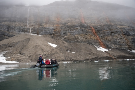 Around Spitsbergen, Kvitoya, August © Zoutfotografie-Oceanwide Expeditions (311).JPG