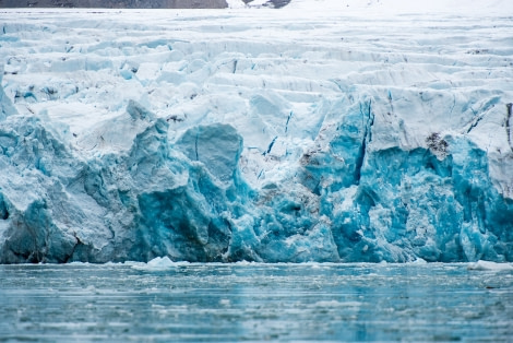 Around Spitsbergen, Kvitoya, August © Zoutfotografie-Oceanwide Expeditions (29).JPG