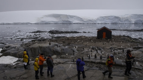 PLA27-19, Day 6 Port lockroy 5 - Oceanwide Expeditions.jpg