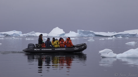 PLA27-19, Day 5 Zodiac cruise - Oceanwide Expeditions.jpg