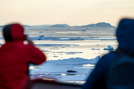 Around Spitsbergen, Kvitoya, August © Zoutfotografie-Oceanwide Expeditions (141) - kopie.JPG