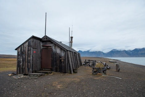 Around Spitsbergen, Kvitoya, August © Zoutfotografie-Oceanwide Expeditions (328).JPG