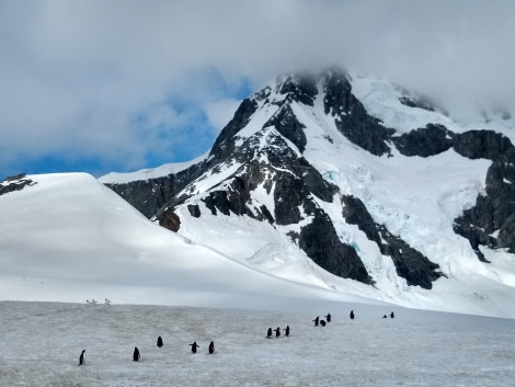 PLA28-19, IMG_20190223_155348803_HDR - Oceanwide Expeditions.jpg