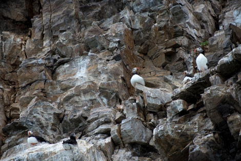 Around Spitsbergen, Kvitoya, August © Zoutfotografie-Oceanwide Expeditions (32).JPG