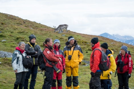 Around Spitsbergen, Kvitoya, August © Zoutfotografie-Oceanwide Expeditions (360).JPG