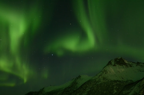 North Norway, Aurora Borealis © Florian Piper - Oceanwide Expeditions.jpg