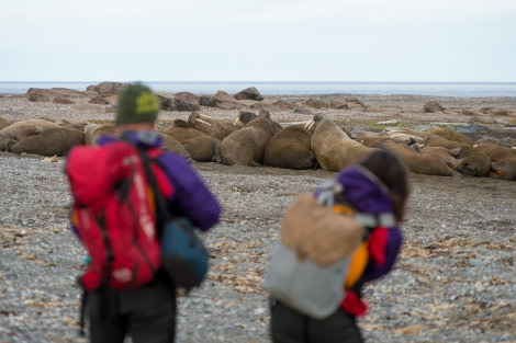 Around Spitsbergen, Kvitoya, August © Zoutfotografie-Oceanwide Expeditions (182) - kopie.JPG