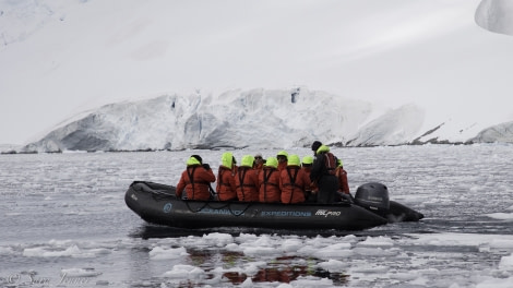 PLA27-19, Day 7 Orne zodiac cruise 3 - Oceanwide Expeditions.jpg