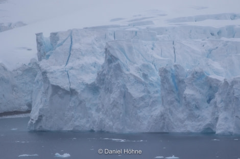 OTL31-19, Day 17, 04 MAR KT3A0571-2-Daniel - Oceanwide Expeditions.jpg