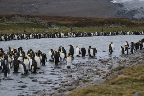 OTL31-19, Day 9, 24 FEB IMG_4879_Pippa - Oceanwide Expeditions.jpg