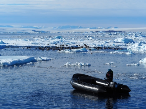 PLA30-19, DAY 8-18 MAR Cruise_Sound - Oceanwide Expeditions.JPG