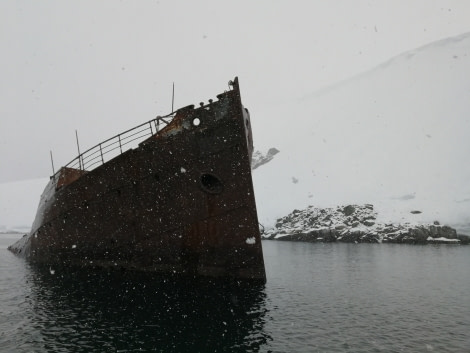 PLA30-19, DAY 5-15 MAR Shipwreck - Oceanwide Expeditions.jpg