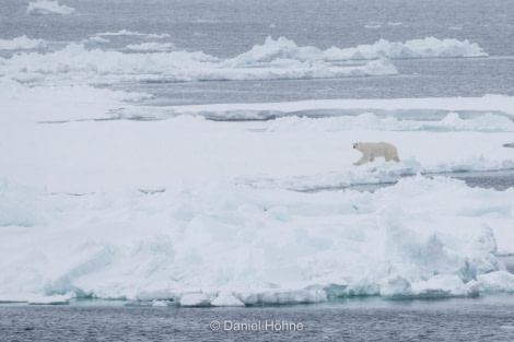 PLA05-19, A46I3850-3 - Daniel Hoehne - Oceanwide Expeditions.jpg