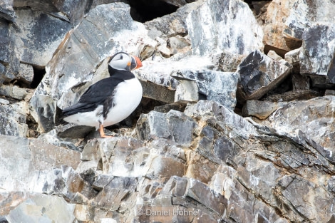 PLA05-19, A46I3520-2 - Daniel Hoehne - Oceanwide Expeditions.jpg