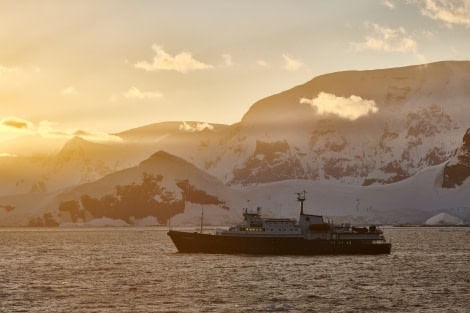 Antarctica, Plancius; Lemaire © Mike Louagie-Oceanwide Expeditions.jpg