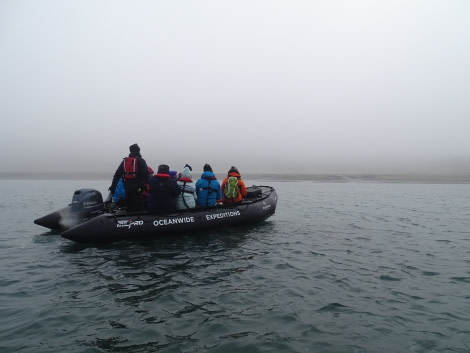 HDS05-19, DAY 03, misty zodiac going to walrus - Oceanwide Expeditions.jpg