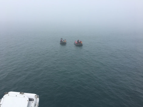 HDS05-19, DAY 03, MiriamVermeij-2306-zodiacs in fog - Oceanwide Expeditions.jpg