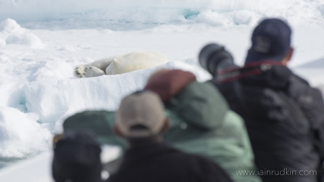 HDS05-19, DAY 04, Iain Rudkin - Guest2- 24062019 - Oceanwide Expeditions.jpg