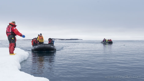 HDS05-19, DAY 05, Iain Rudkin - Guest7- 25062019 - Oceanwide Expeditions.jpg