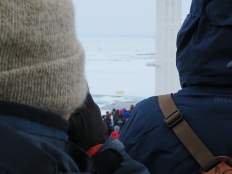 HDS06-19, DAY 06, MiriamVermeij-0307-Bear watching 3 - Oceanwide Expeditions.jpg