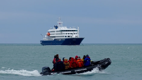 HDS06-19, DAY 04, zodiac cruise with ship adam-meike - Oceanwide Expeditions.jpg