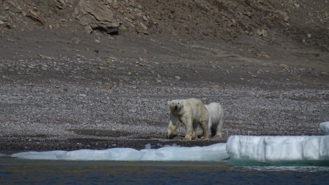 HDS07-19, DAY 08, meikesjoerbearonland - Oceanwide Expeditions.jpg