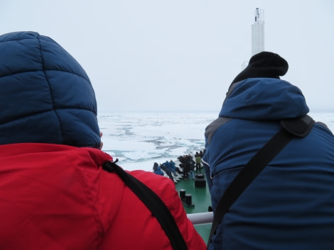 HDS06-19, DAY 06, MiriamVermeij-0307-Bear watching 2 - Oceanwide Expeditions.jpg