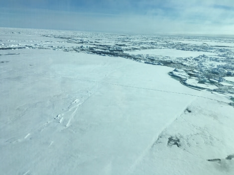 HDS06-19, DAY 03, MiriamVermeij-3006-Ice - Oceanwide Expeditions.jpg