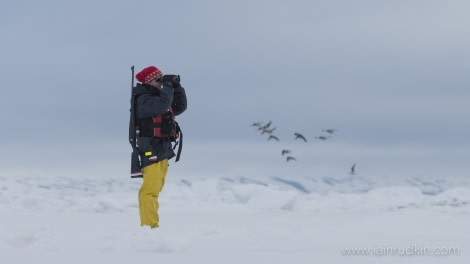 HDS06-19, DAY 03, Iain Rudkin - Guide2 - 30062019 - Oceanwide Expeditions.jpg